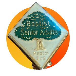 Vintage Baptist Senior Adults Brooch Pin Psalm 1:3 Gold Tone Small Tree Church